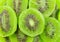 Dried Preserved Kiwi Fruits