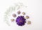 Dried purple aster flowers and asparaus leaf, laid out in a pattern on a white background.