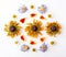 Dried purple aster and yellow rudbeckia flowers, daisies and marigold petals laid out in a pattern on a white background.