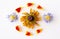 Dried purple aster and yellow rudbeckia hirta flowers, daisies and marigold petals laid out in a pattern on a white background.