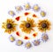Dried purple aster and yellow rudbeckia hirta flowers, daisies and marigold petals laid out in a pattern on a white background.