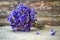 Dried purple wildflowers, wooden background.