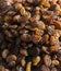 Dried Raisins texture