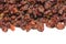 Dried red barberry berries