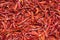 Dried red chili, food ingredients