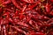 dried red chili pepper in full screen