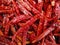 Dried red chilies