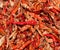 Dried red chillies as a textured food background.