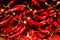Dried red chilly pepper background. Process of natural drying red pepper on sun