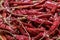 Dried red hot chillies