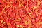 This is Dried red hot chillies texture background