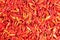 Dried red hot chillies texture background