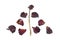 Dried red rose and leaf with xmas tree on white background