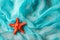 Dried red sea starfish on cian cloth background