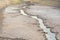 Dried river bed in the desert