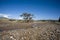 Dried river in Damaraland, Namibia