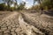 Dried river on summer, water crisis and drought impact case or climate change