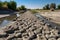 Dried river on summer, water crisis and drought impact case or climate change