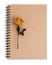Dried rose flower with pencil on notebook
