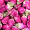 Dried rose flowers texture background closeup