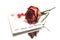 Dried rose and romantic postcard