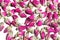 Dried rosebuds background