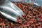 Dried rosehip berries and a metal scoop