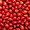 Dried rosehips background, powerful antioxidant with high content of vitamin