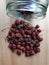 Dried rosehips. Wild edibles vitamin c rich canada rosehips. Natural harvested late fall rosehip rose plant