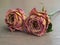 Dried Roses on Wood Background