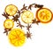 dried round slices of lemon and apple as well as star anise on a bright white background.