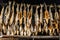 Dried salmons inside house of Shiraoi Ainu Village Museum in Hokkaido, Japan