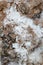 Dried salt on floor texture marine background