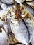 Dried salted fish