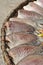 Dried Sepat Siam, Dried Snakeskin gourami (Trichogaster pectoral
