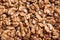 Dried shelled walnut halves background
