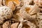 Dried Shitake Mushrooms (Lentinula edodes)