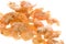 Dried Shrimps Macro