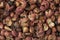 Dried Sichuan pepper seeds