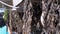 Dried Small Fish, Gobies Hanging on Hooks on the Open Stalls of Street Market