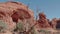 Dried snag dead tree in desert on background of a rock formation of orange color