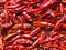 Dried spicy red chilies hot background. Food, international cuisines and worldwide travel concept