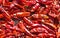 Dried spicy red chilies hot background. Food, international cuisines and worldwide travel concept
