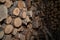 Dried and stacked logs in a shed