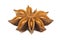 Dried star anise flower