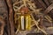 Dried sticks of licorice root and essential oil on table, flat lay