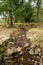 Dried stream bed at Aira Force Waterfalls