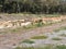 Dried streambed in Western Australia