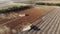 Dried sunflowers field at harvest time. A large harvester works in a field of sunflowers, cutting ripe ones