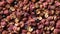 Dried szechuan or sichuan pepper  close up full frame as background